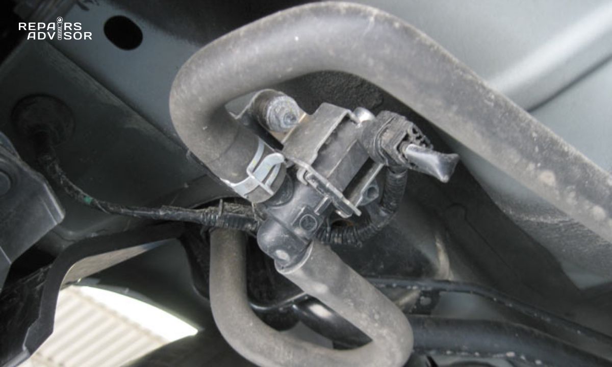 Canister Vent Valve
