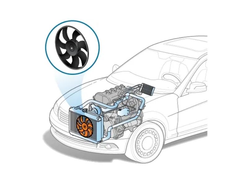 Cooling Fan Motor