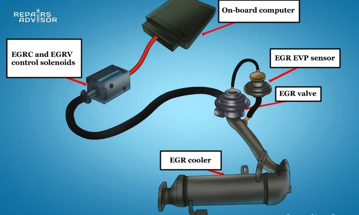 EGR Position Sensor