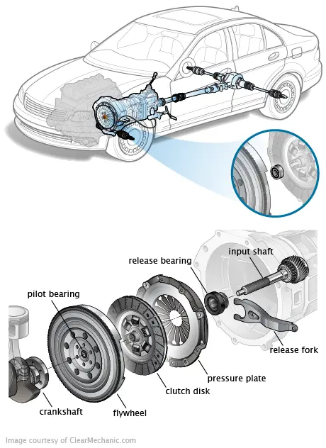 Clutch Pilot Bearing