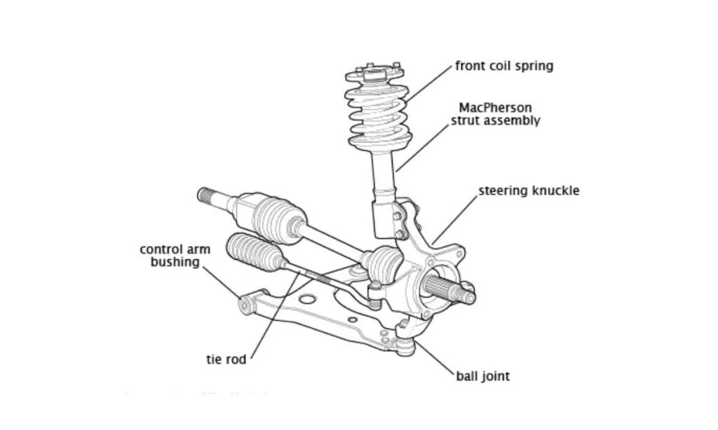 Front Coil Spring