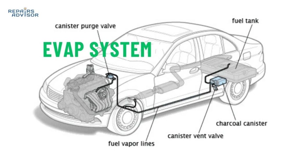EVAP system