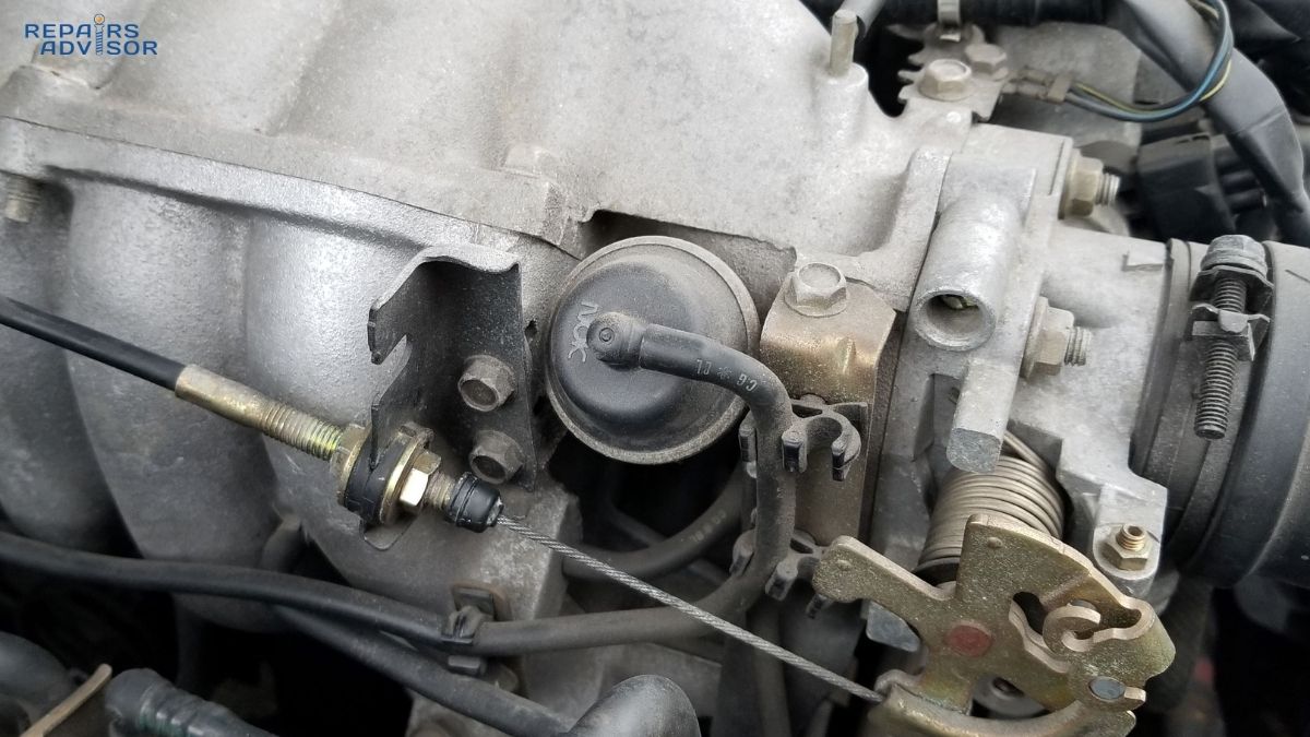 accelerator cable