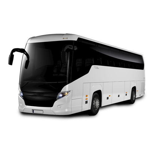 Buses