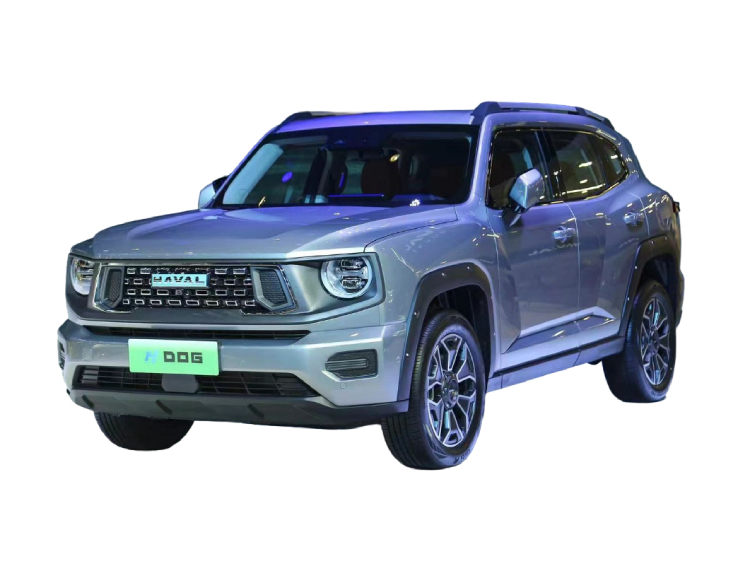 Haval Big Dog