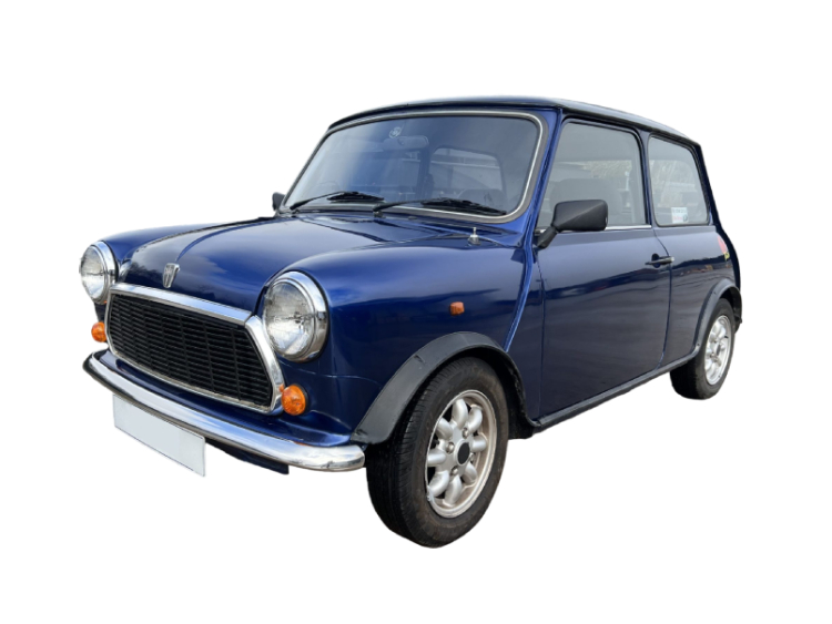 Rover Mini