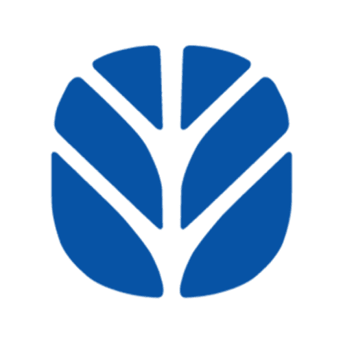 NEW HOLLAND