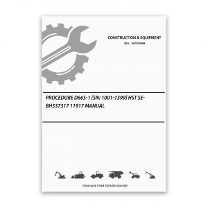RA0250468_Procedure-D66S-1-Sn-1001-1399-Hst-SEBH537317-11917-Manual