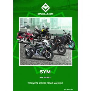 RA0174960_Sym-Gts-250-Scooter-Factory-Service-Work-Shop-Manual