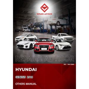 RA0129681_Hyundai-genesis-2013-misc-documents-brochure-Manual